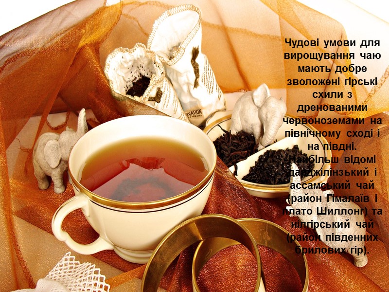 Чудові умови для вирощування чаю мають добре зволожені гірські схили з дренованими червоноземами на